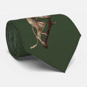 大おもしろい眼の剥製の霊長類 | 猿 | レムール ネクタイ (ロール)