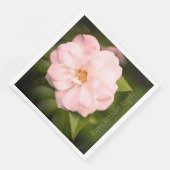 大かわいらしバラ写真 (コーナー)