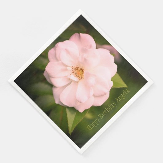 大かわいらしバラ写真 (コーナー)