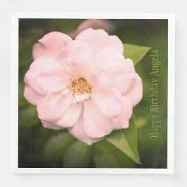 大かわいらしバラ写真