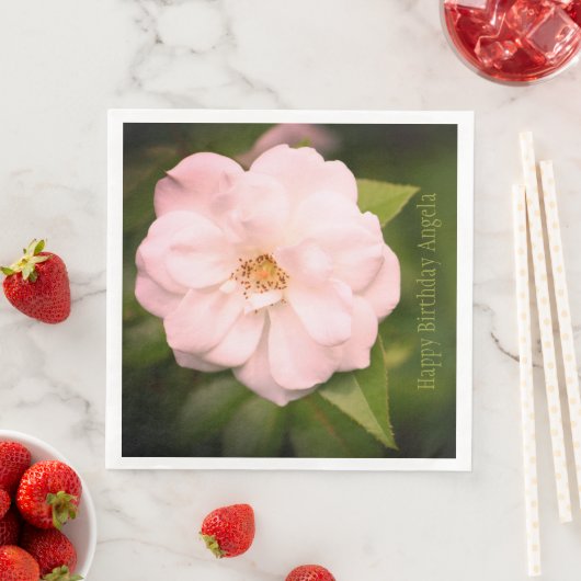 大かわいらしバラ写真 (インサイチュ)