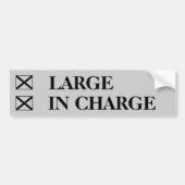 大きいか。 担当した点検して下さいか。 点検して下さい! バンパーステッカー (正面)