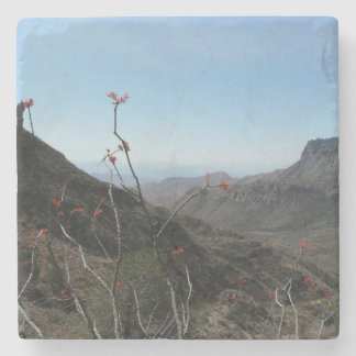 大きいくねりの公園Ocotillo山の景色 ストーンコースター