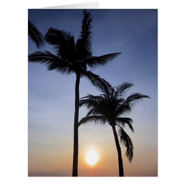 大きいやし日没 (正面)