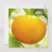 大きいオレンジ家宝のトマト 招待状 (裏面)