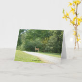 大きいカヌー、ジョージアのメッセージカード カード (黄色い花)