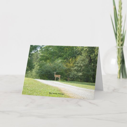 大きいカヌー、ジョージアのメッセージカード カード (正面)