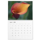 大きいカレンダー（2ページ）、白 カレンダー (3月 2026)