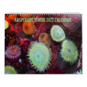 大きいカレンダー（2ページ）、白 カレンダー (カバー)