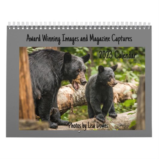 大きいカレンダー（2ページ）、白 カレンダー (カバー)