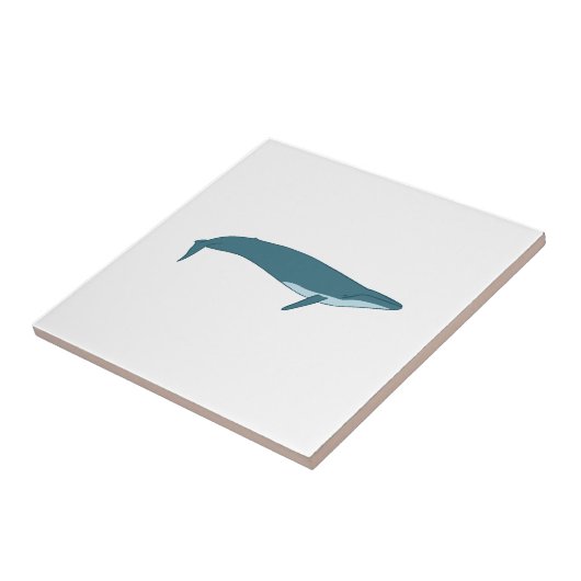 大きいクジラ タイル (側面)