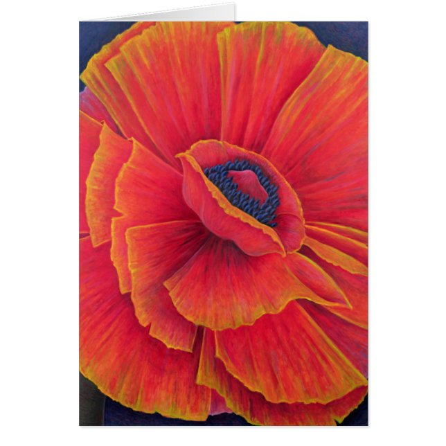 大きいケシ2003年 (正面)