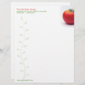 大きいトマトの栄養士レターヘッド レターヘッド (正面/裏面)