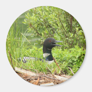 大きいネスティング水潜り鳥の磁石 マグネット