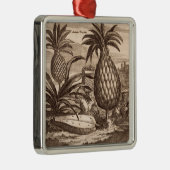 大きいパイナップルの耕作、descからのイラストレーション メタルオーナメント (右)