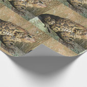 大きいヒキガエル ラッピングペーパー (角)