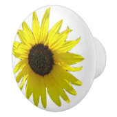 大きいヒマワリの開花を選抜して下さい セラミックノブ (右)