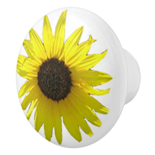 大きいヒマワリの開花を選抜して下さい セラミックノブ (右)