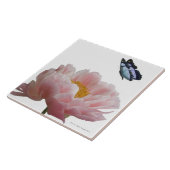 大きいピンクのシャクヤクは空気のようのによって訪問されます タイル (側面)