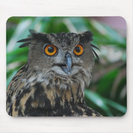 大きいフクロウのマウスパッド マウスパッド (正面)