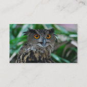 大きいフクロウの名刺 名刺 (裏面)