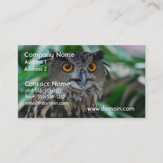 大きいフクロウの名刺 名刺 (正面)