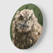 大きいフクロウの時計 ラージ壁時計 (傾斜)