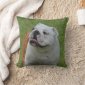 大きいブルドッグ クッション (ブランケット)