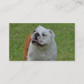 大きいブルドッグ 名刺 (裏面)