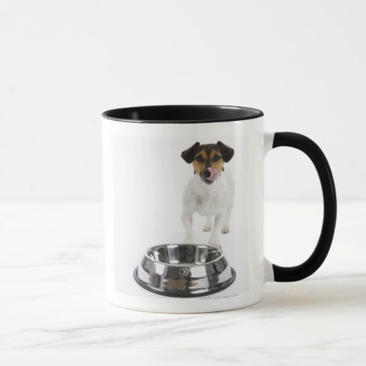 大きいボールを持つ犬 マグカップ (右)