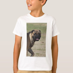大きいマスティフ犬 Tシャツ