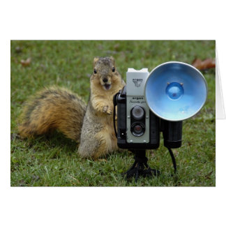 大きいリスカード