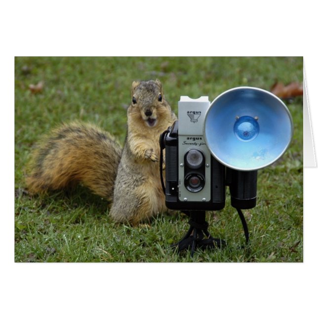 大きいリスカード (正面横)