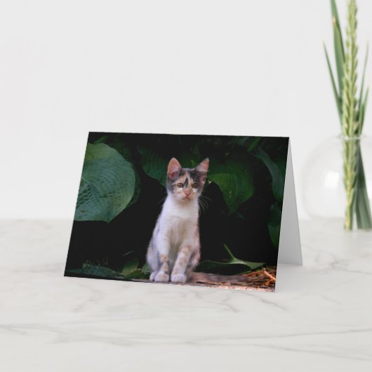 大きい世界 カード (正面)