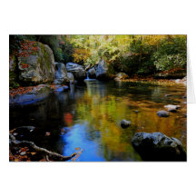 大きい入り江の反射