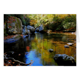 大きい入り江の反射