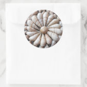 大きい円形の芸術的な貝殻のステッカー ラウンドシール (バッグ)