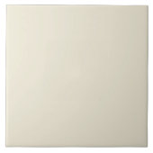 大きい卵の殼 タイル (正面)