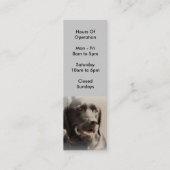 大きい憂うつの救助のしおりのスタイルの名刺 スキニー名刺 (裏面)