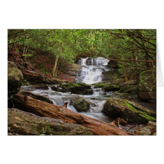 大きい月桂樹の滝