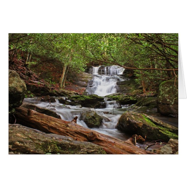 大きい月桂樹の滝 (正面横)