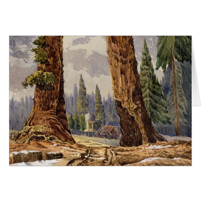 大きい木の果樹園の2人の歩哨、 (正面横)