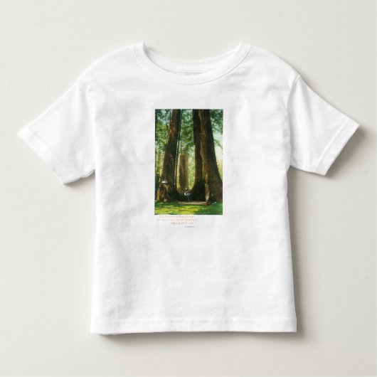 大きい木果樹園のレッドウッドの双生児の眺め トドラーTシャツ (正面)