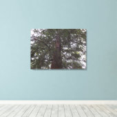 大きい木 キャンバスプリント (インサイチュ (ウッドフロア))