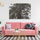 大きい木 キャンバスプリント (インサイチュ (リビング))