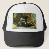 大きい木WawonaのMariposa果樹園、カリフォルニアのヴィンテージ キャップ (正面)