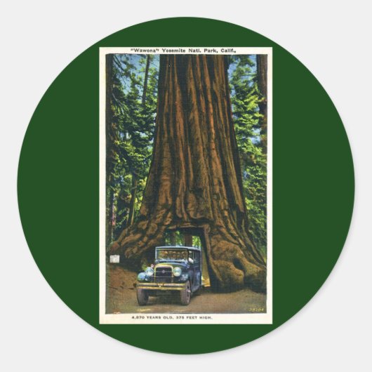 大きい木WawonaのMariposa果樹園、カリフォルニア ラウンドシール (正面)