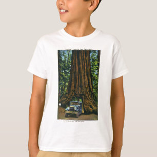 大きい木WawonaのMariposa果樹園、カリフォルニア Tシャツ
