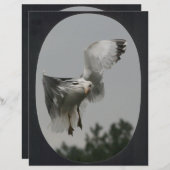 大きい楕円フレーム（黒） (正面/裏面)