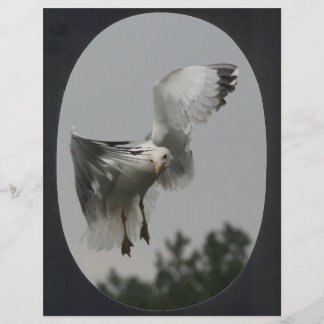 大きい楕円フレーム（黒）